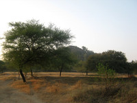 Seclusion Hill