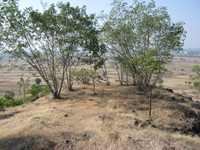 Seclusion Hill