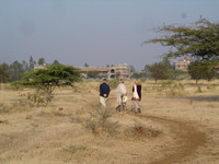 Samadhi